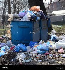 Professional Junk Removal Services in Mccordsville, IN