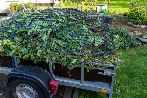 Best Yard Waste Removal  in Mccordsville, IN